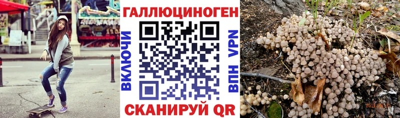 как найти закладки  Олёкминск  кракен   Псилоцибиновые грибы GOLDEN TEACHER 