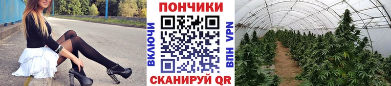darknet официальный сайт  mega ССЫЛКА  Олёкминск  где можно купить   Бошки Шишки марихуана 